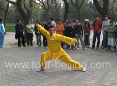 Experimental Taiji Quan Class