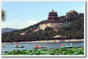 Escorted Apricot Flower Viewing Day Tour